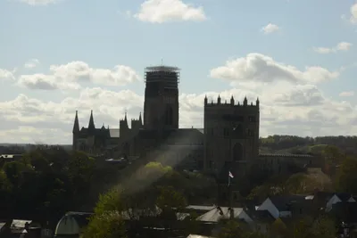 DSC_7193 (Large).JPG